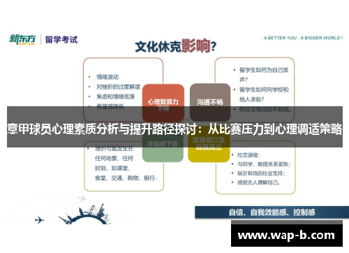 意甲球员心理素质分析与提升路径探讨：从比赛压力到心理调适策略