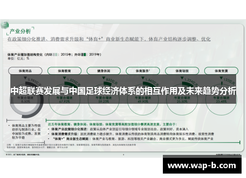 中超联赛发展与中国足球经济体系的相互作用及未来趋势分析
