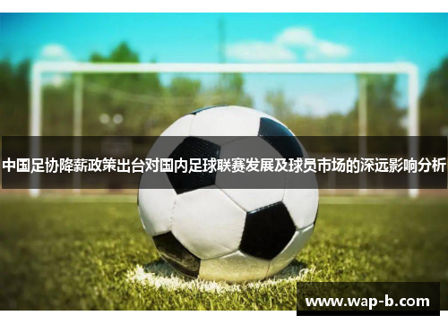 中国足协降薪政策出台对国内足球联赛发展及球员市场的深远影响分析
