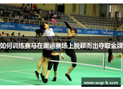 如何训练赛马在奥运赛场上脱颖而出夺取金牌