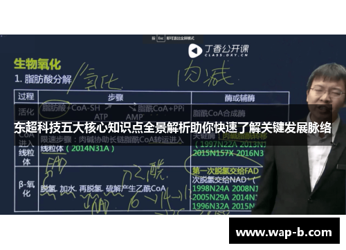 东超科技五大核心知识点全景解析助你快速了解关键发展脉络 东超科技五大核心知识点全景解析助你快速了解关键发展脉络